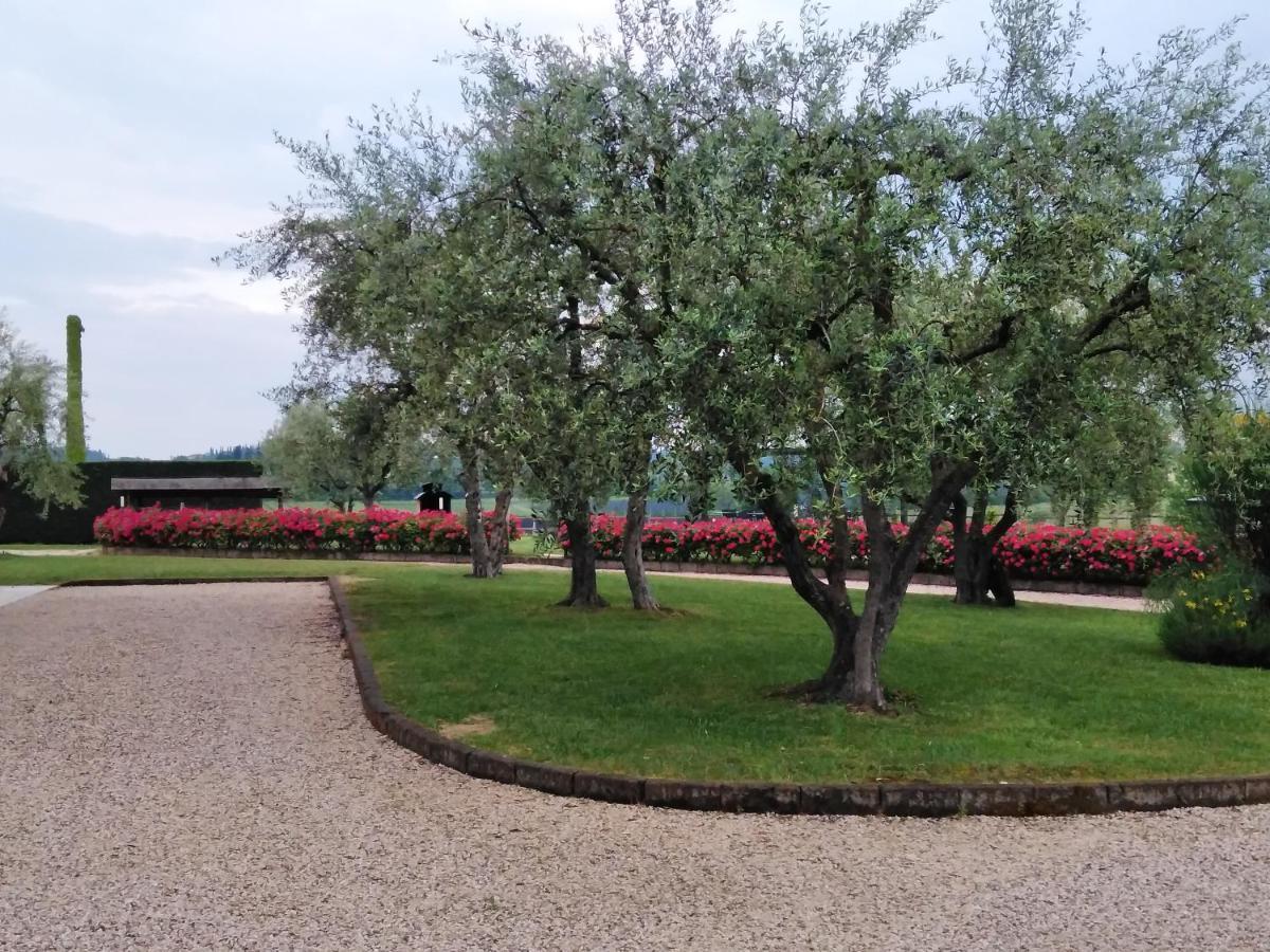 Agriturismo Le Ginestre ลาซีเซ ภายนอก รูปภาพ