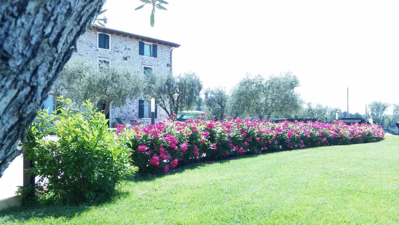 Agriturismo Le Ginestre ลาซีเซ ภายนอก รูปภาพ