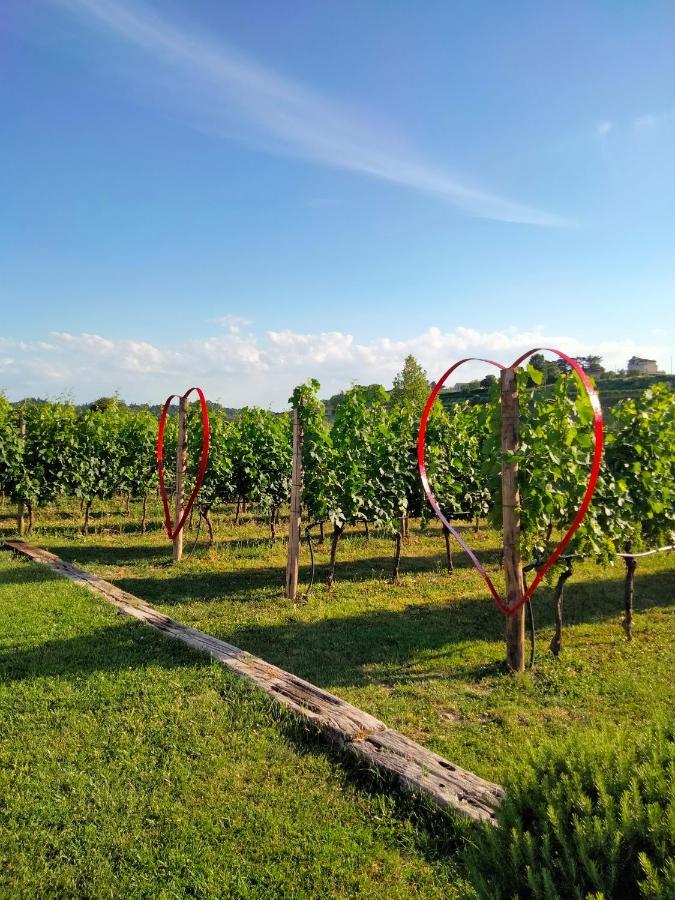 Agriturismo Le Ginestre ลาซีเซ ภายนอก รูปภาพ